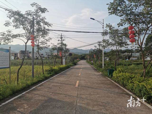 坪围村的村道宽敞整洁。 坪围村的村道宽敞整洁。