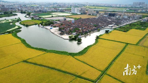 良好的人居环境是最普惠的民生福祉。  南方+ 张伟炜 拍摄 良好的人居环境是最普惠的民生福祉。  南方+ 张伟炜 拍摄