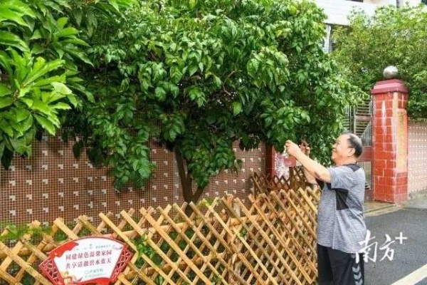 村民在门前小花园修剪花木。何森垚 摄 村民在门前小花园修剪花木。何森垚 摄