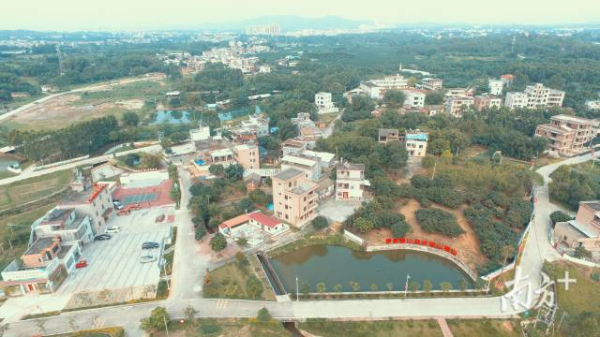 坪围村俯瞰图。 坪围村俯瞰图。