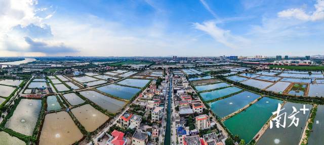 中山市接源村局部鸟瞰 中山市接源村局部鸟瞰