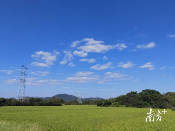 河东镇后坎村撂荒复耕。 河东镇后坎村撂荒复耕。