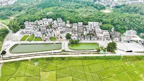 乡村振兴战略给圣堂镇的乡村发展带来强劲动力,近年来该镇乡村面貌实现大变样。圣堂镇供图 乡村振兴战略给圣堂镇的乡村发展带来强劲动力,近年来该镇乡村面貌实现大变样。圣堂镇供图