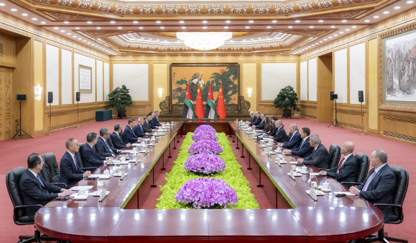 已编辑图片
