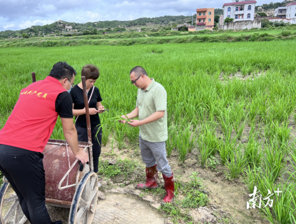  该图放第一个小标